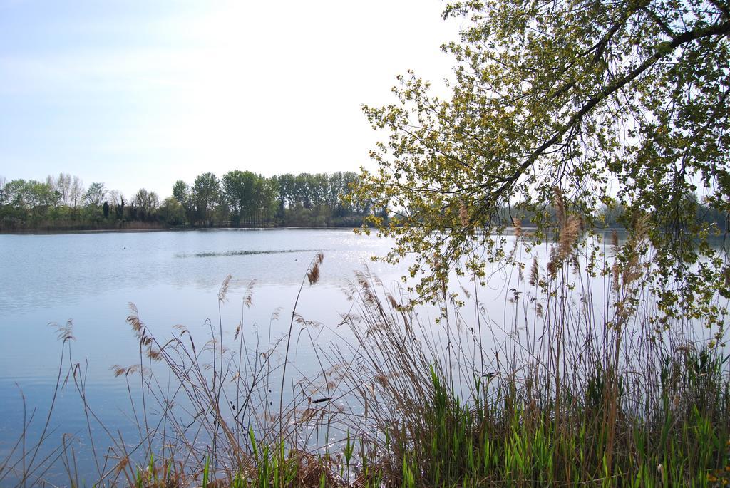 Villa Milu Quinto Di Treviso Екстер'єр фото